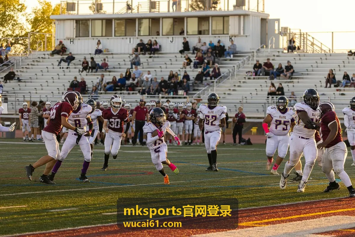mksports官网登录 登录密码设置与修改示意